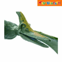 Jurassic World Value Basic Dino Pteranodon 12 Inch Action Figure -Toy Haven Shop 3320193dd3be7e7bea018b0b9f1aa67a