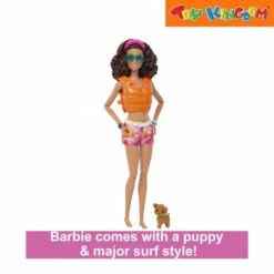 Barbie Surf Doll With Accessories -Toy Haven Shop 390959243BBIHPL69 RGI 5