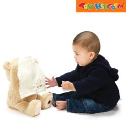 Gund Peek-A-Boo Bear Brown 11.5 Inch Stuffed Toys -Toy Haven Shop TK 390979407SMI6053525 EDC 3
