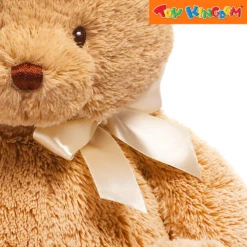 Gund My 1st Teddy Tan Brown 15 Inch Stuffed Toys 5 Gund My 1st Teddy Tan Brown 15 Inch Stuffed Toys -Toy Haven Shop TK 390979427SMI6048626 EDC 3